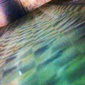 10881576_885861458099877_4313970335323003195_n