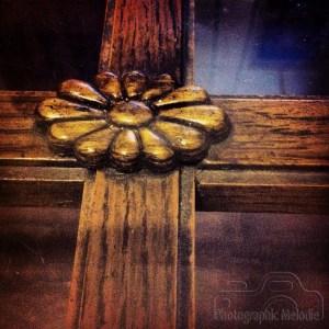 554902_627348977284461_1081428799_n