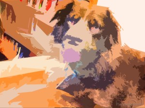 14639815_10207885394038435_7620555304389470748_n2logo